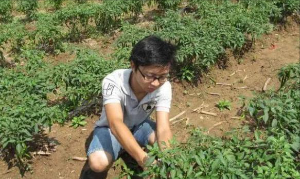 人民日报发文痛批，大学生现状被揭露，沉睡的大学生快醒醒吧