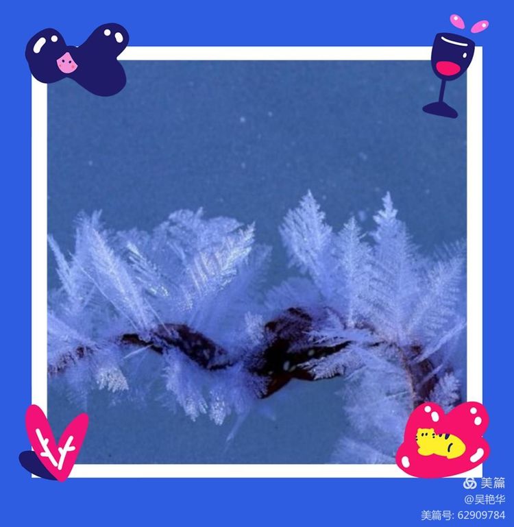 吴艳华：冰凌花
