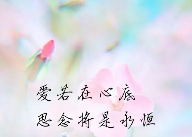 情深难舍难分，真爱放不下离不开；想你了，想念时眼泪是心上的痛