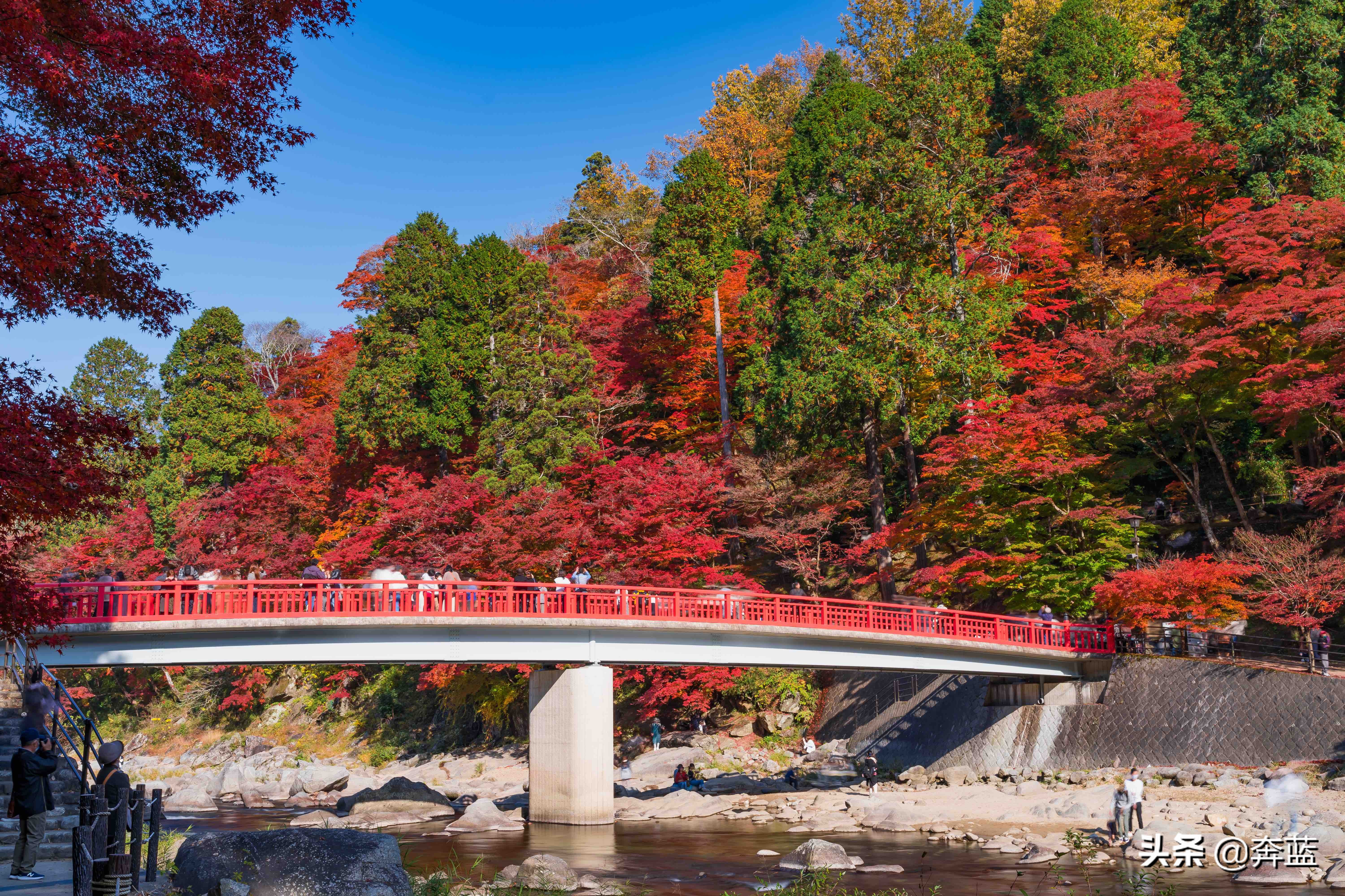 日本本州岛旅游景点：香岚溪、梦之吊桥、富士山、五重塔、樱花