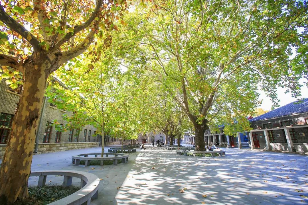 我的母校曲阜师范大学：有光的地方，就有人在学习。