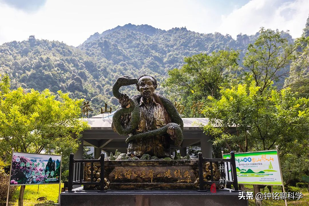 世界十大神秘巨蛇传说：古老文明中的蛇类图腾与现代科学探索