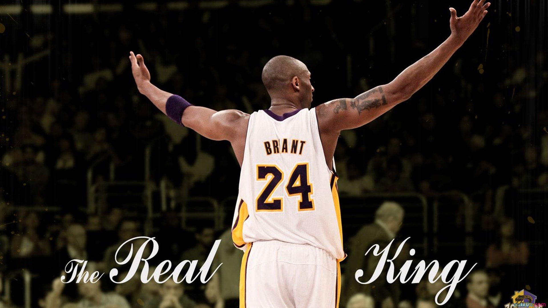 科比球迷(理性分析:詹姆斯的球迷和科比的球迷有什么特点?