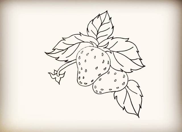 简笔画 | 草莓简笔画详细教程，一学就会，亲子活动，快收藏！