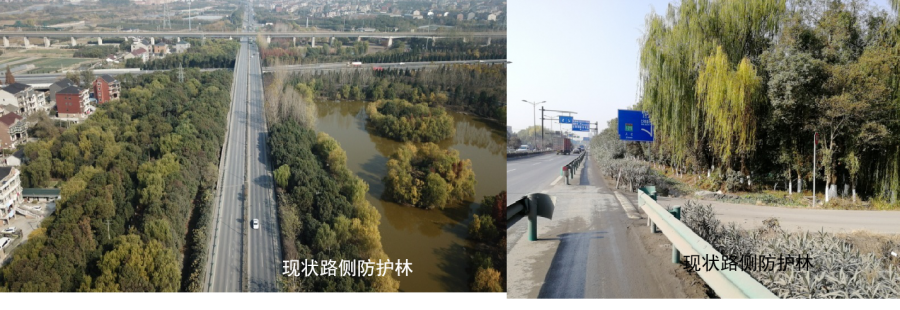 仁和街道运溪路(新区路-獐山路)提升改造工程美丽大提升