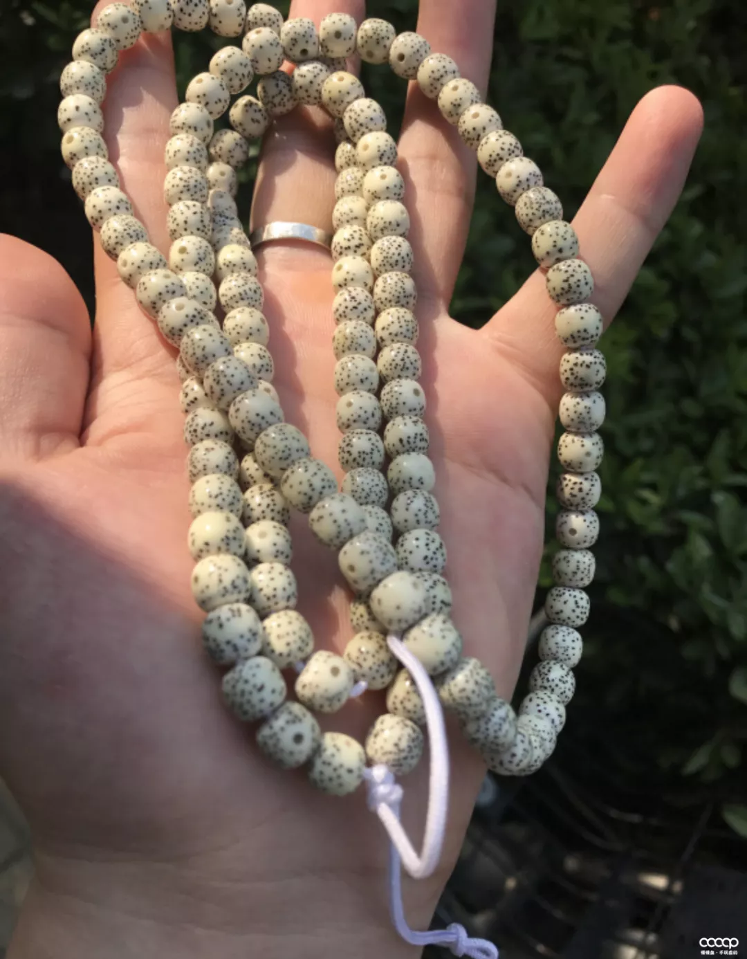 玩串儿1年,就很出彩!谁说小白,就一定会吃药