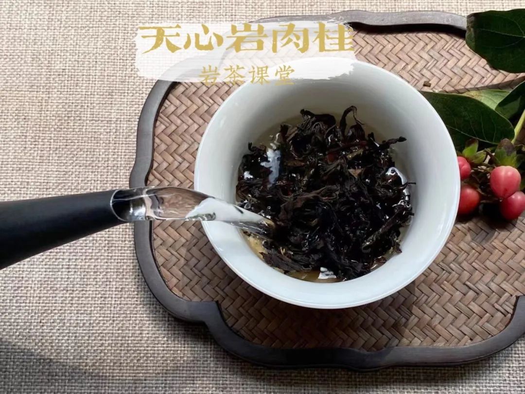 牛肉、马肉、猴肉、鬼肉，这么多正岩肉桂，哪个山场的味道最好？