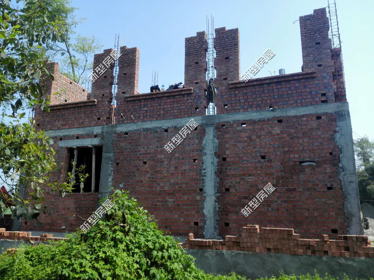 与各层圈梁相连接,形成能够抗弯抗剪的空间框架,是防止房屋倒塌的一种