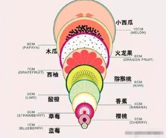 生娃時,宮口開十指到底什麼樣,這幾種模擬圖很直觀,真不容易