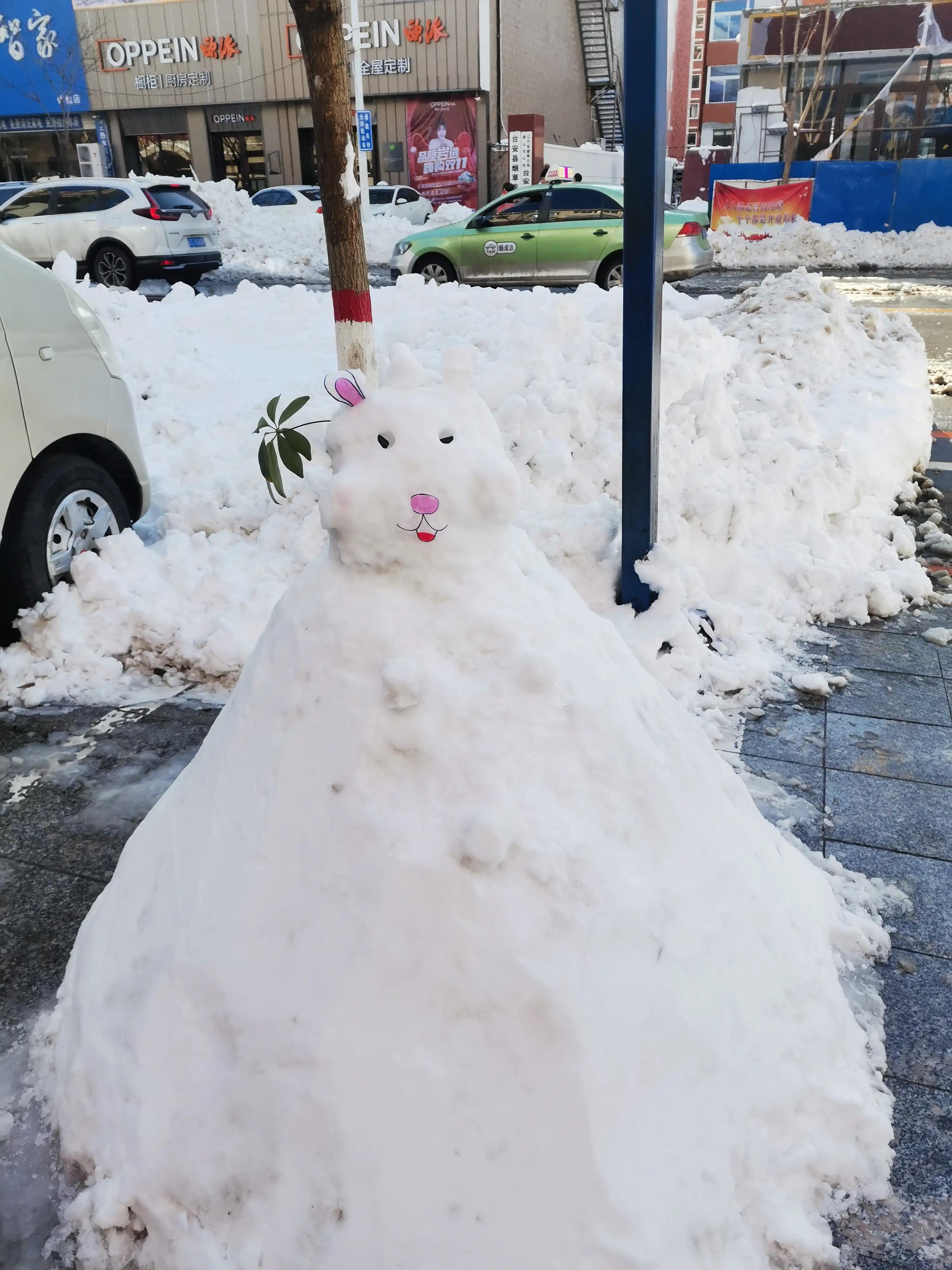 大雪过后，老师布置作文《堆雪人》，看这个四年级学生是怎样写的