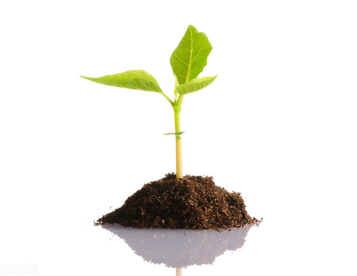 读故事闯三关，巧记六级词汇（34）