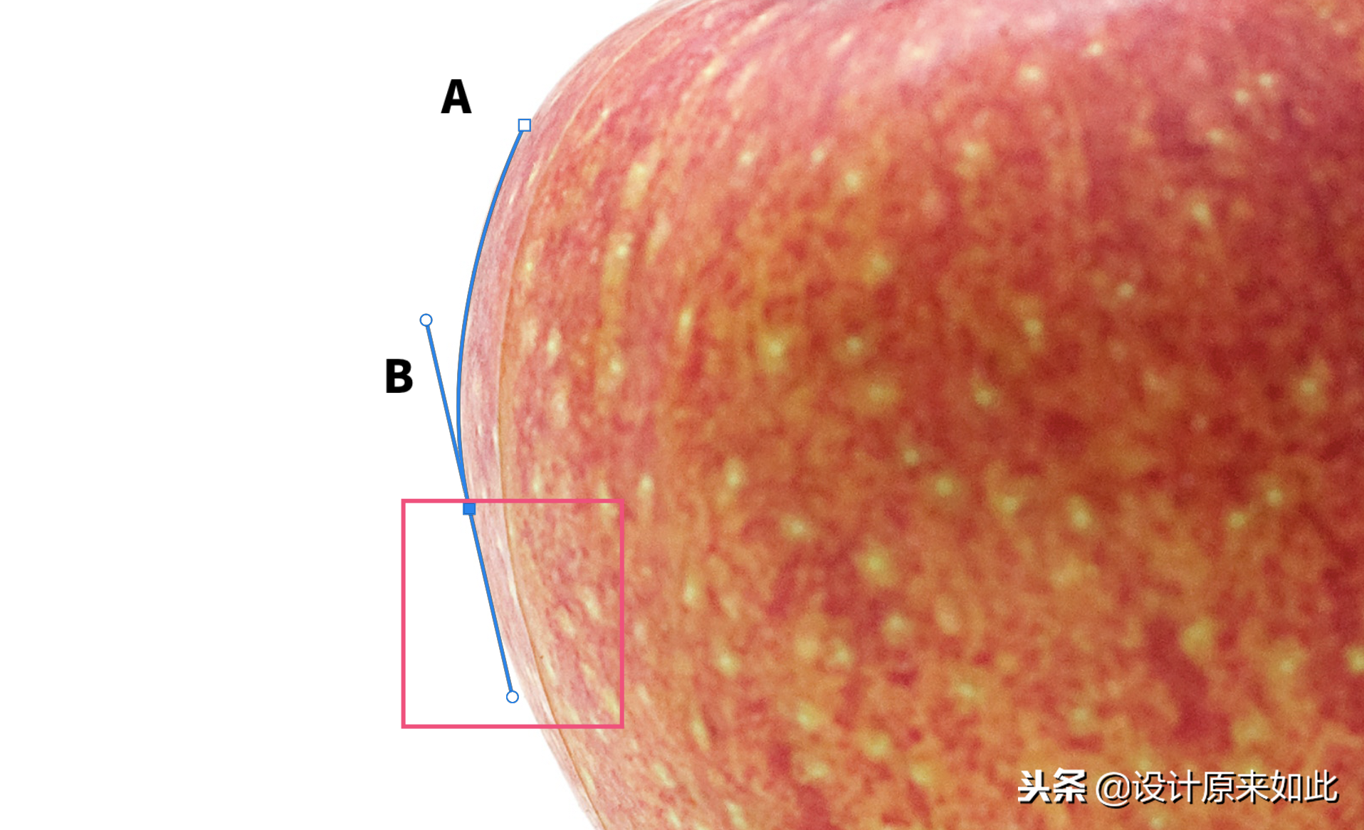 办公PS技巧15：不会抠图怎么办？介绍一种简单的钢笔工具抠图方法