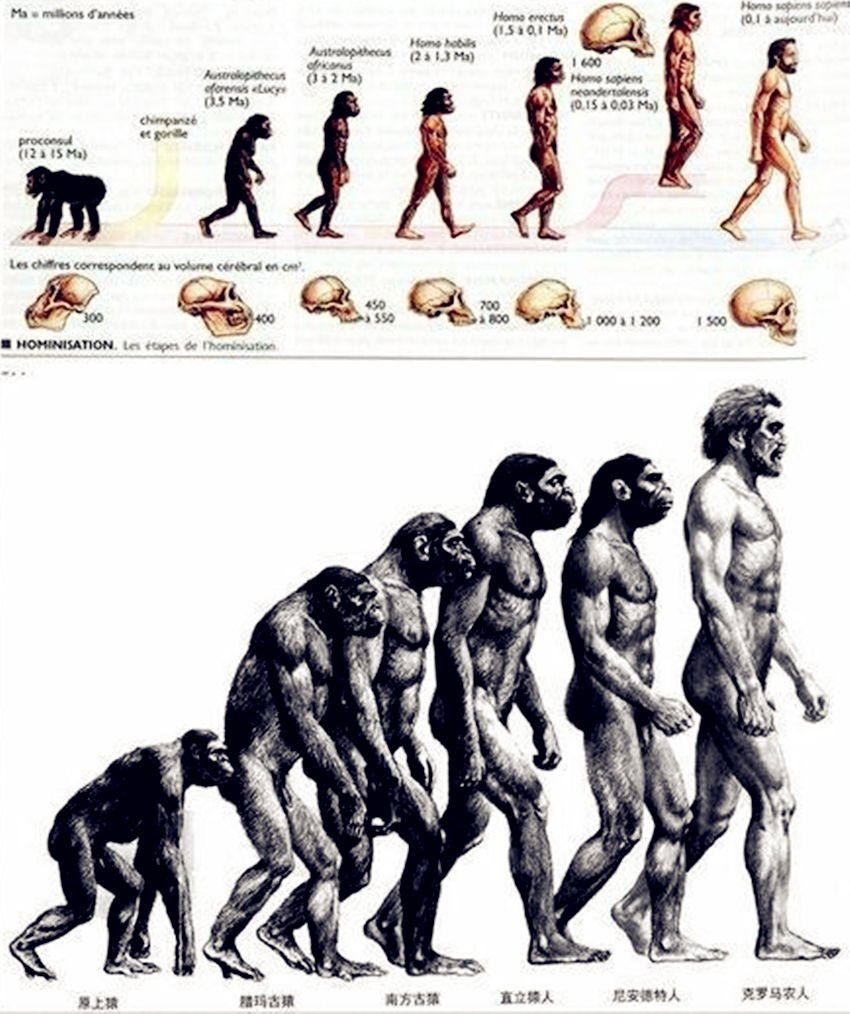 人类祖先是什么动物（鲜为人知的人类起源传说）