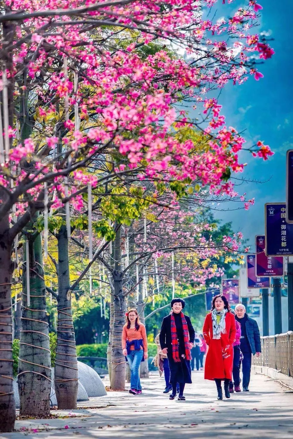 12月最佳旅行地推荐！年尾用一场完美的收官旅行告别2019