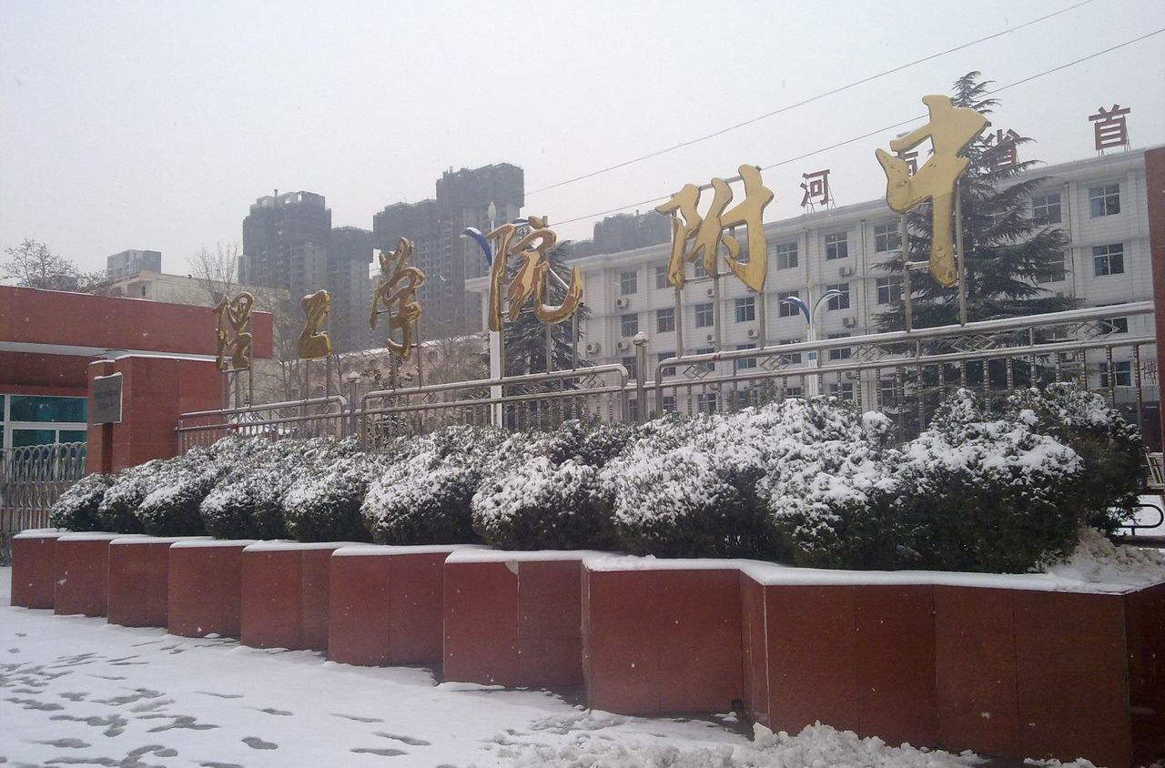 洛阳六所高中，洛阳一高领衔，栾川一高和伊川一高，哪所更强？