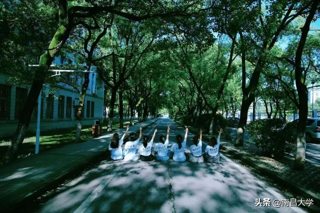 南昌大学录取信息查询通道开启，录取通知书小剧透！