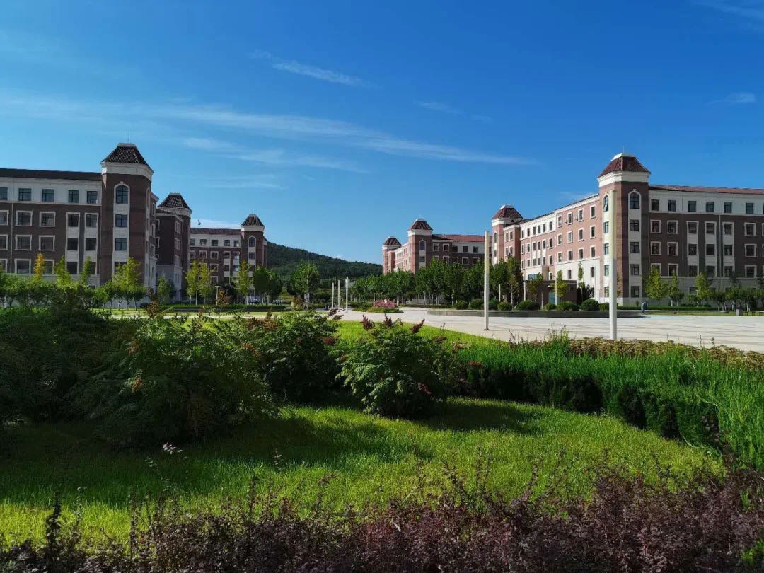 大职院迎重大变革，多个部门被裁撤调整，与电大进一步走向融合