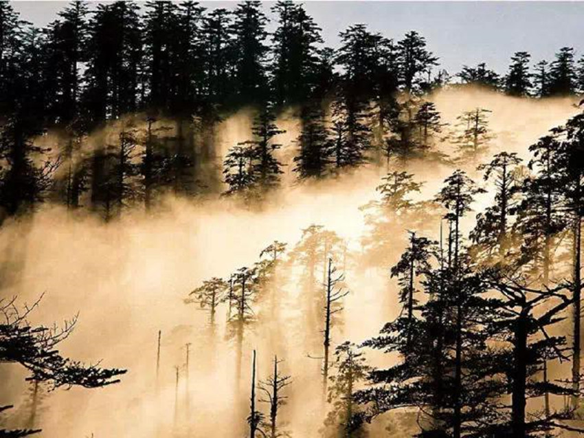 瓦屋山迷魂凼(四川瓦屋山上有个迷魂凼，人进去就出不来，专家是怎么解释的)