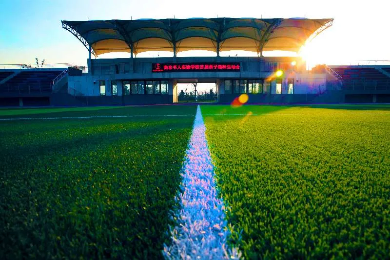 高考机器人 江苏数学（南京这所九年制新民办校定制教育服务）