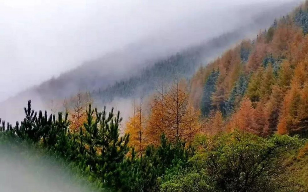 六盘山旅游景点，看层林尽染