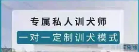 重庆购物狂家居装修