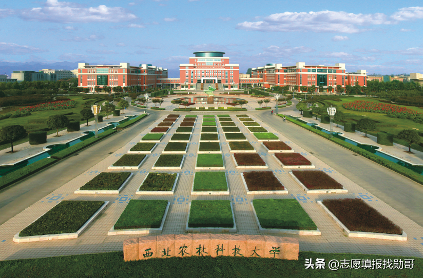 西北地区，招生被冷落的985名校！却默默地培养了无数的人才