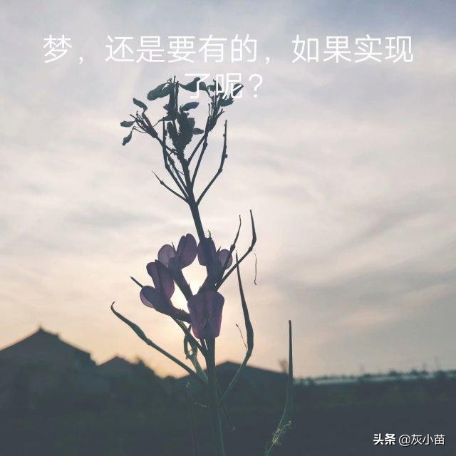 《梦的解析》：梦实践