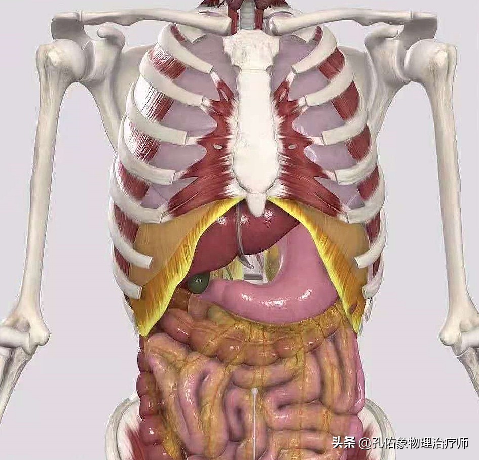 腰椎间盘突出的朋友，为何反复治不好？手术就能解决？告知您内幕