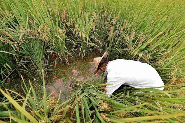 营养师：一岁前宝宝食物“黑名单”出炉，牛奶、海鲜、柿子皆上榜