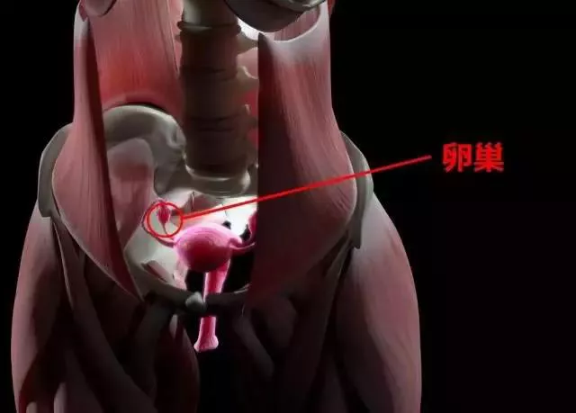 束腰、乳腺贴、卵巢保养，细扒那些瞄准你钱包的“营销骗局”