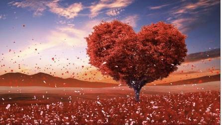 《诗经》《式微》赏析