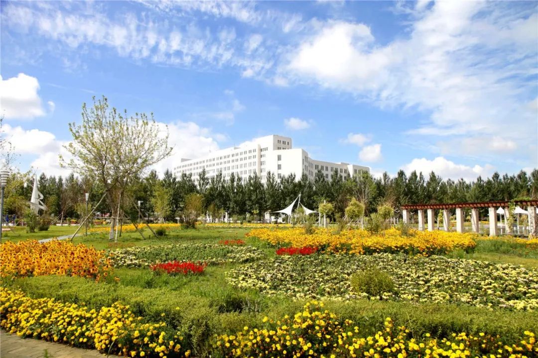 新区高校集结 | 网络铸魂 数字德育，走进黑龙江财经学院！