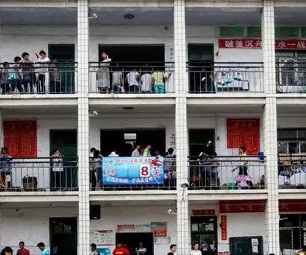 2019郸城一高放榜，令人咋舌！现在熬多少苦累，将来担多少赞美