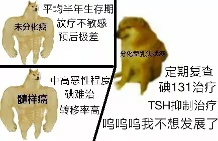 甲癌家族排名第二的“危险人物”,你了解它吗?