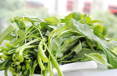 空心菜葉子能吃嗎,菜心的葉子能吃嗎