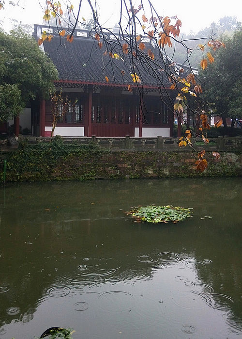 忧伤的雨，总是勾起对你的思念