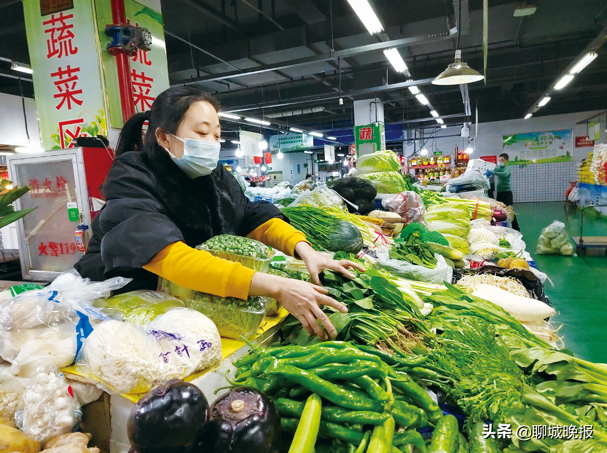 菜比肉贵 原因何在？聊城部分蔬菜价格上涨调查
