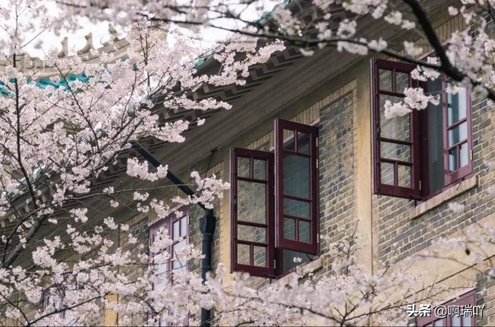 分数线丨武汉大学2019年各省录取分数线！