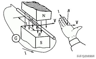 左手定则和右手定则图解（左手和右手定则的关系）