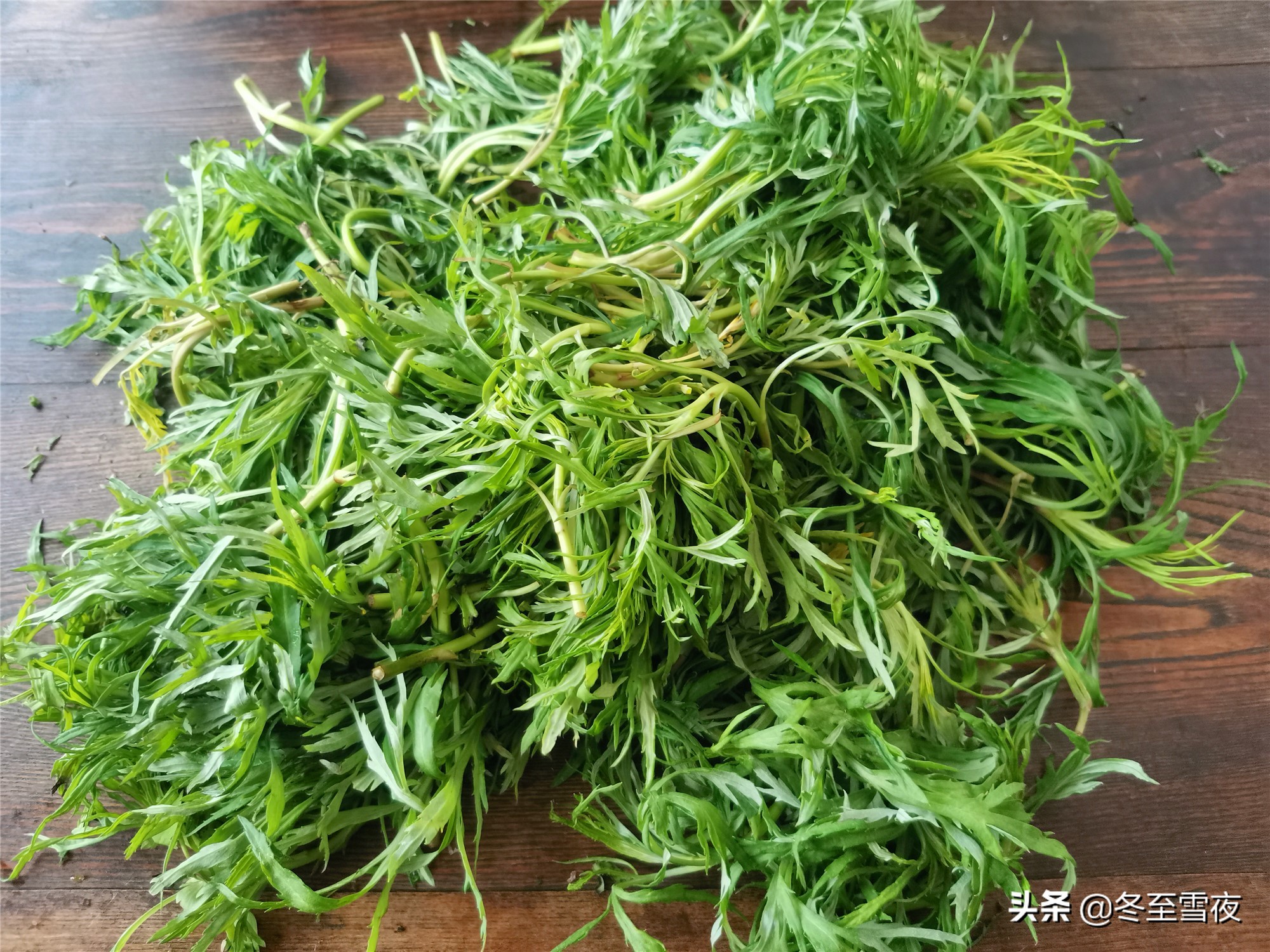 北方野菜圖片名稱大全(常吃的16種山野菜大圖鑑)-思維風暴網