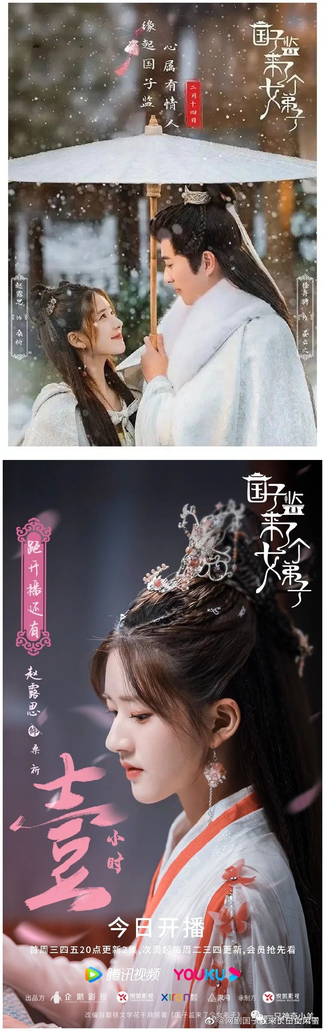 女主扮丑进入哥哥学校（国子监来了个女弟子）