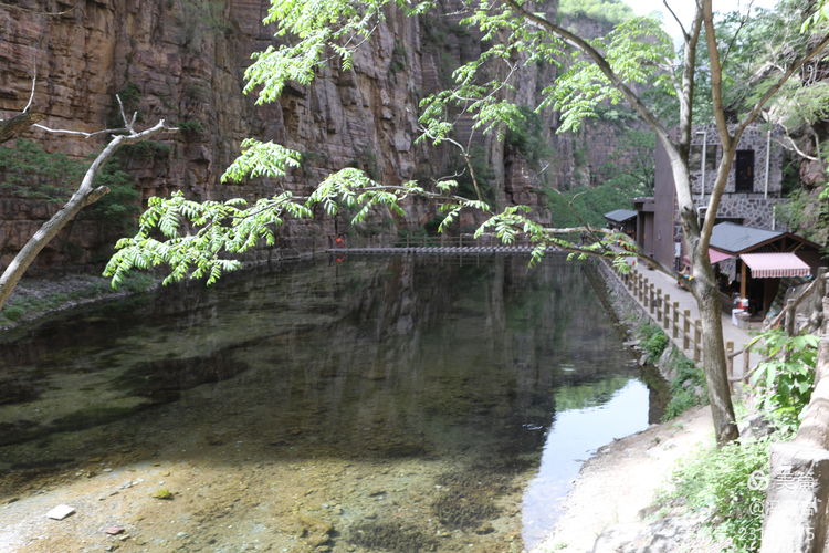 冯延吉：春游万仙山景区