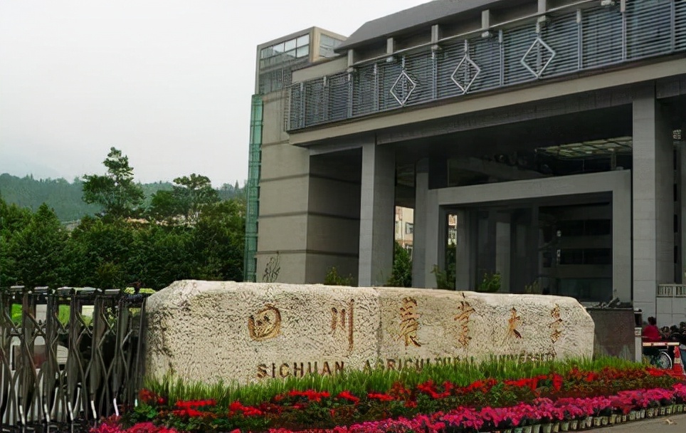 四川地区最新大学排名出炉，西油惜败川农，无缘进入前五名