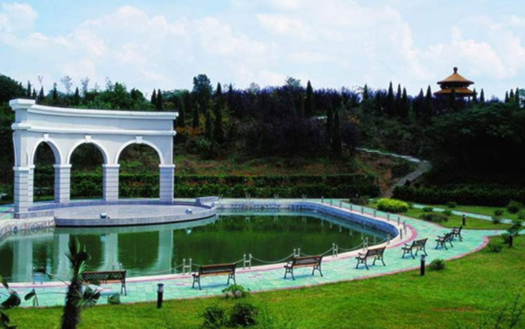 低分也能上名校，独立学院转型升级为985，中等生的机会来了