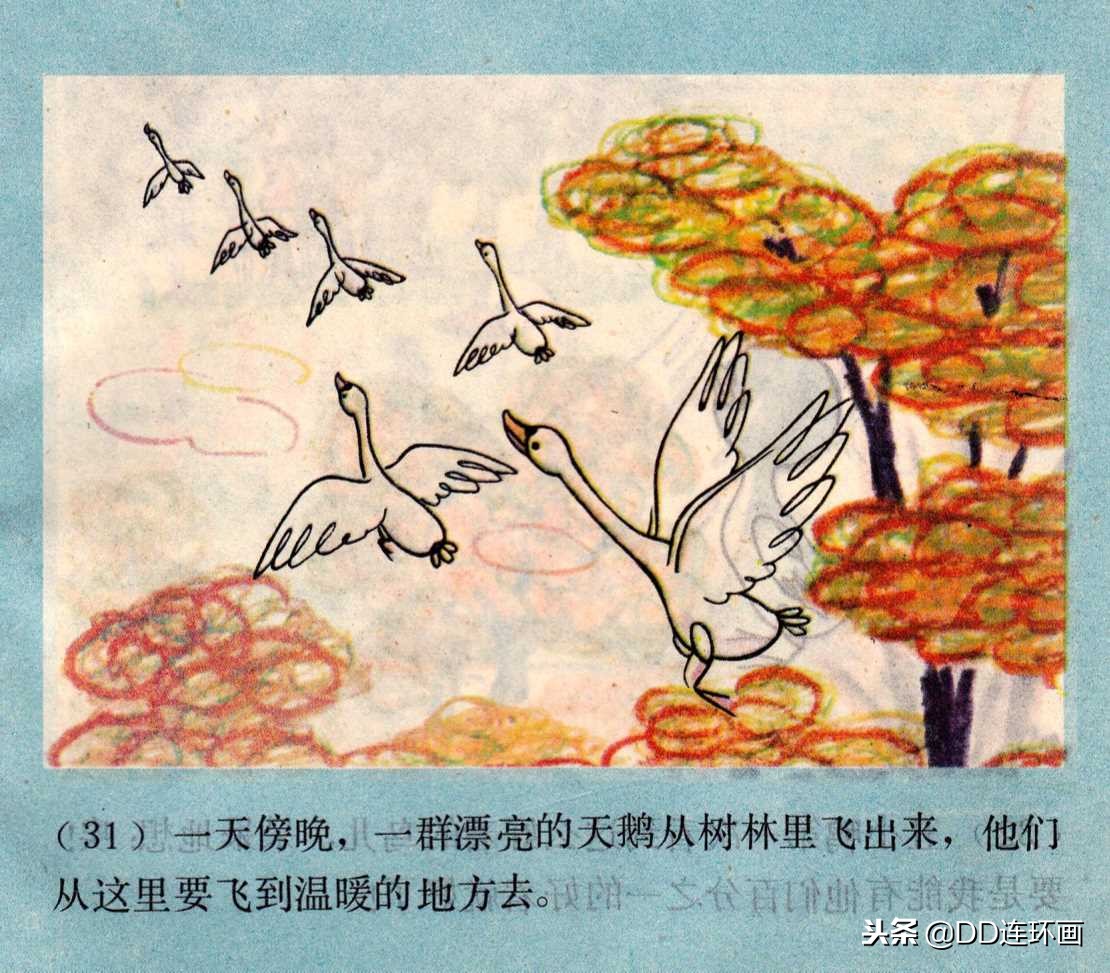 「dd」童话故事连环画:《丑小鸭》