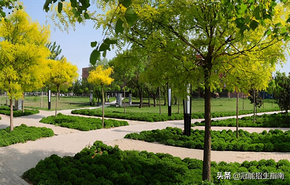 成都职业学校有哪些学校比较好-2021年比较热门的职校专业