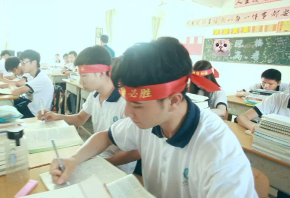 新高考选科迷之组合，物理化学和政治并非良配，不少学生后悔不已