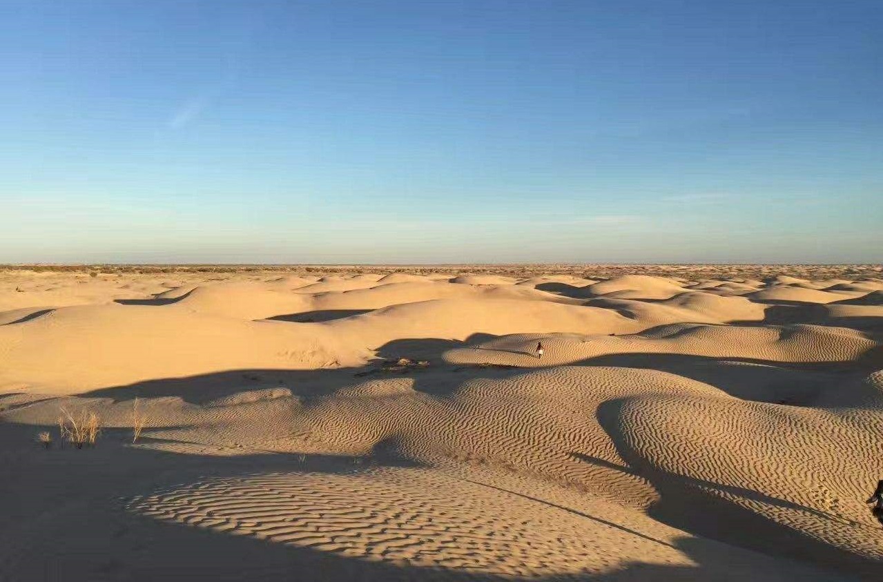 最大的沙漠叫什么名字（知识科普全球面积最大的沙漠）