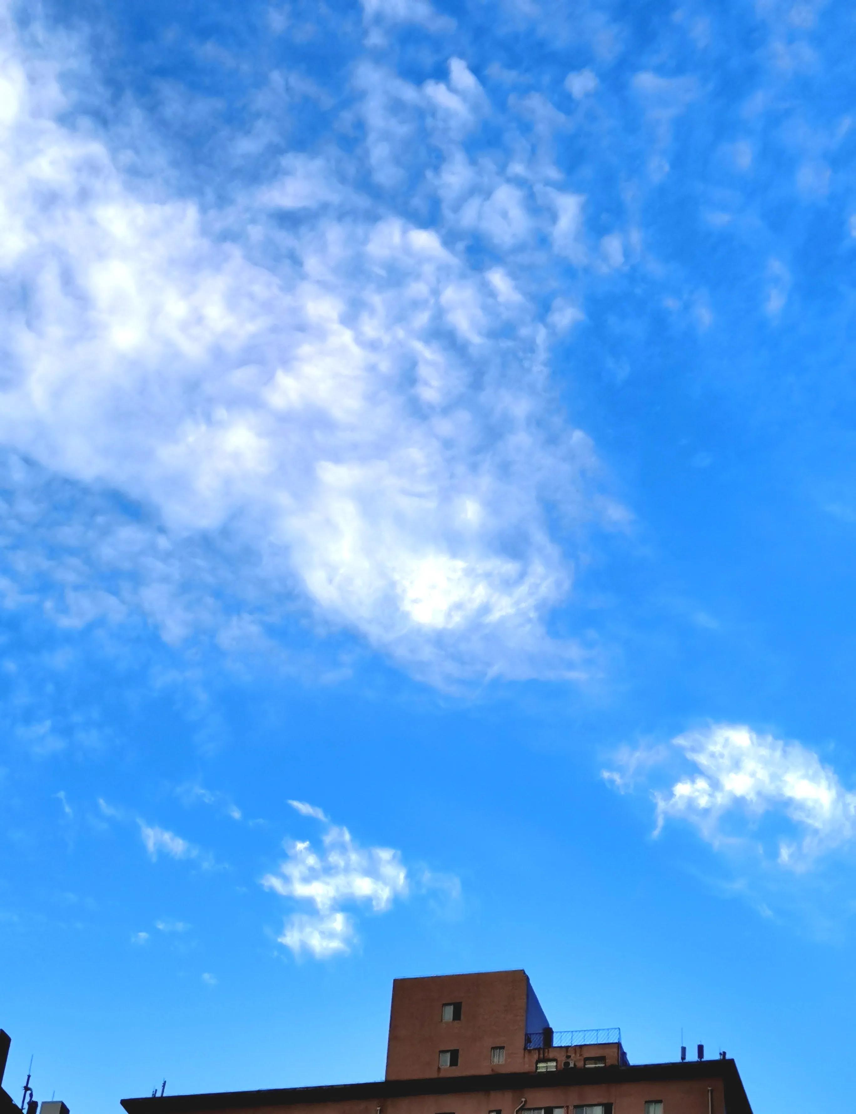 建设合同纠纷,建设工程合同纠纷