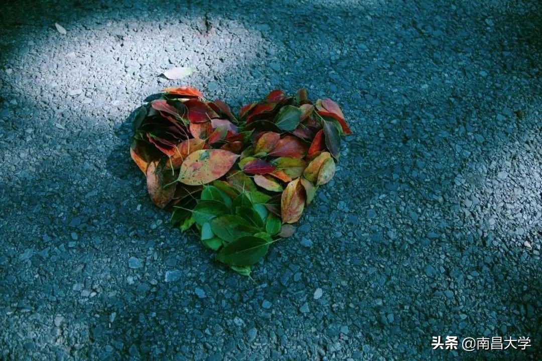 南昌大学录取信息查询通道开启，录取通知书小剧透！